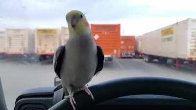 He was happy until he saw the truck