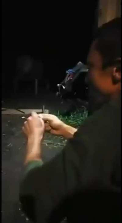 A man feeding a wild bear sweets on Kamchatka peninsula