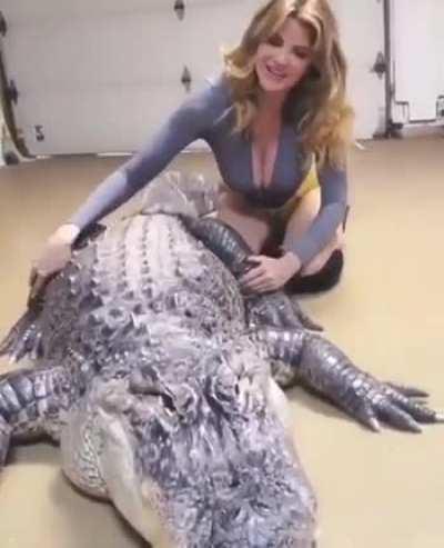 Alligator Massages