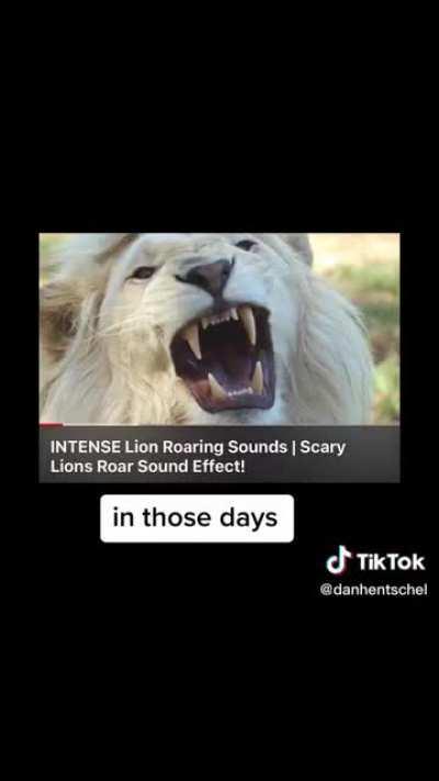 lion roar sound effect｜TikTok Search
