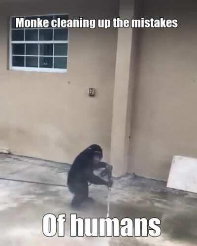 Oooh Oooh monke clean hooman mistak