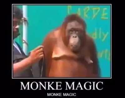 MONKE MAGIC