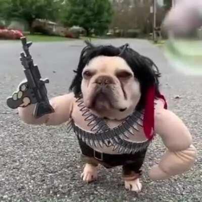 Rambone, the borkf of freedom