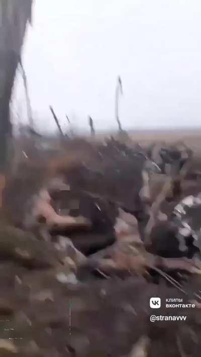 ru pov. A Russian soldier shook hands with a captured Ukrainian soldier.