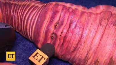 Heidi Klum dressed up as a worm