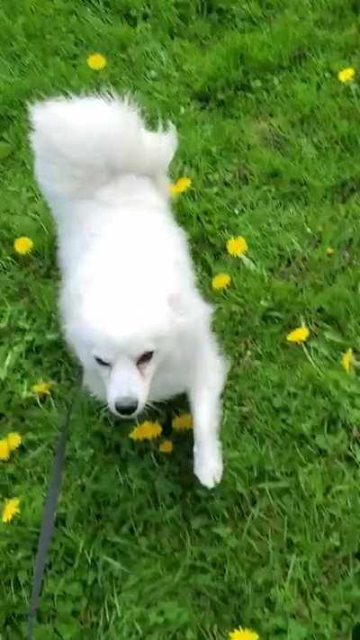 A small, happy cloud on an otherwise sunny day