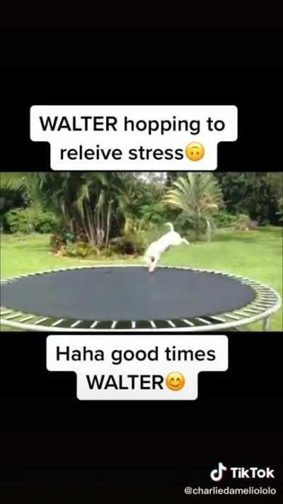 Walter