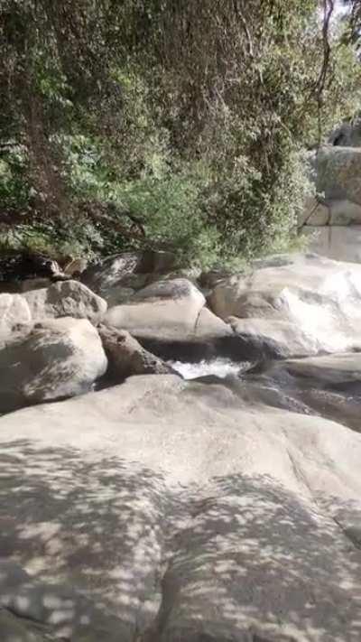 Relaxing under an oak tree next to a babbling brook [00:20]