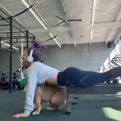 Doggo is just helping his owner work out!