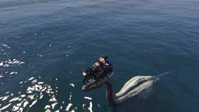 I landed on the head of the Loch Ness Monster in GTA 5