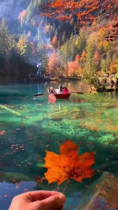 Autumn. Lake Blausee in Switzerland