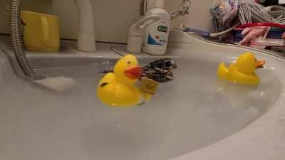 Hydro Massage with ducks Part II