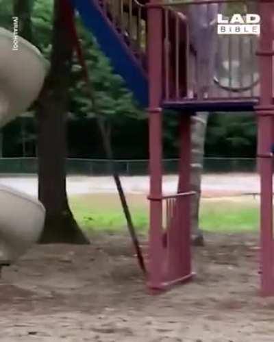 Playground zoomies (cross posted from r/awwww)