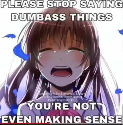 Anime girl crying &quot;please stop saying dumbass things, you're not even making sense&quot;