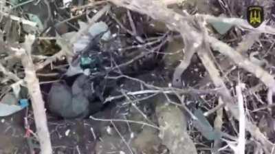 Ukrainian 18 brigade NGU eliminates Russian soldiers