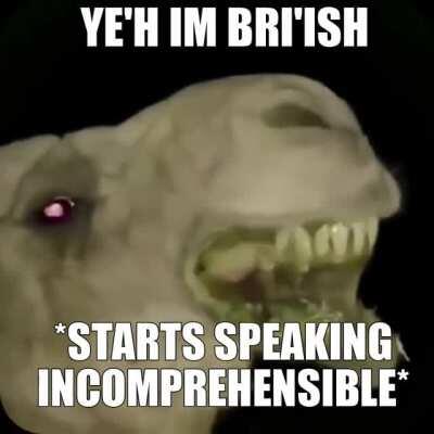 BRITISH PEOPLE AM I RIGHT OK BUDDY RETESRD😍😍😍😍😍