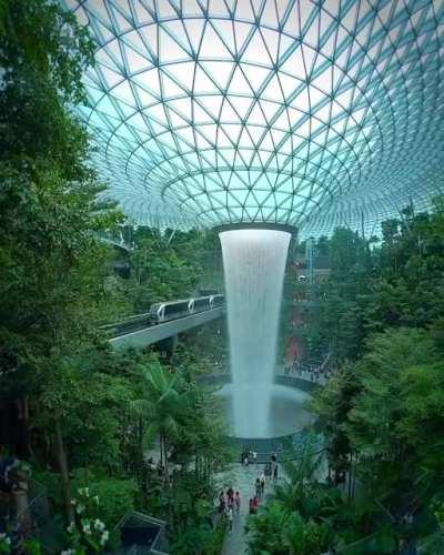 Greenery at Singapore Airport !!!