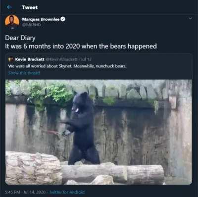 WCGW giving a bear nunchacks in 2020