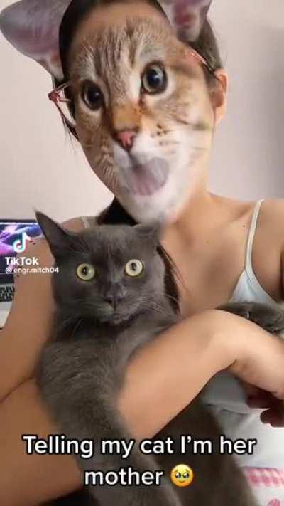 Startled Cat & her Momma