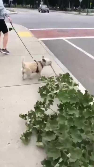 He's applying for the job of Branch Manager....