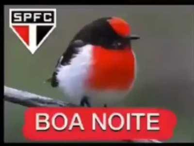 Boa noite a todos : futebol