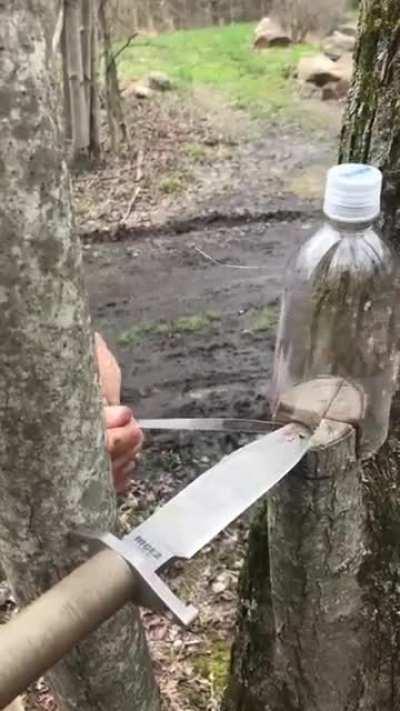 Making Plastic Rope from a Bottle