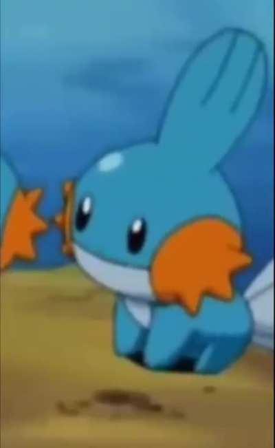 Mudkip!