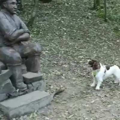 playing fetch with a statue