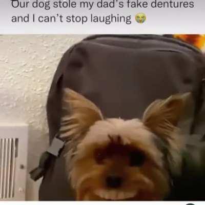 Doggie dentures