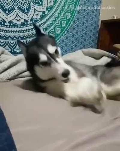 When you wake up on the wrong side of the bed and everything annoys you!