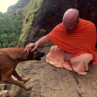 Blessed Jumgle Pup has come to bless you 🕉️🐾