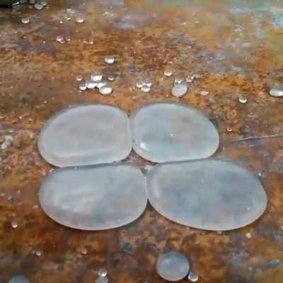 Hydrophobic water. The water and surface are covered with aerogel powder causing them to show hydrophobic behavior