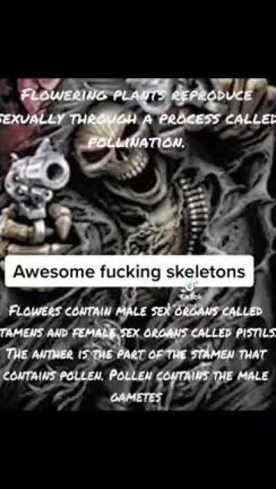 EPIC SKELETONS