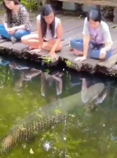 long fish the Devourer of hands