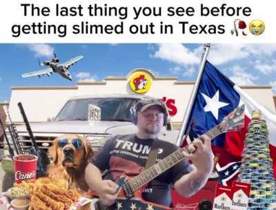 Pantera