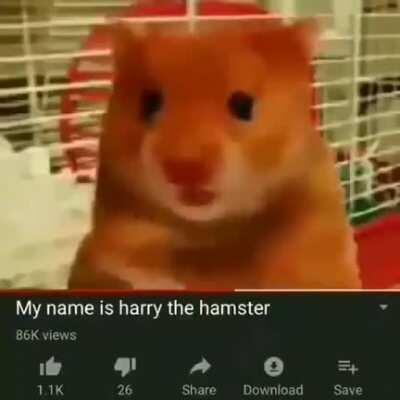 His name is harry the hamster caw caw