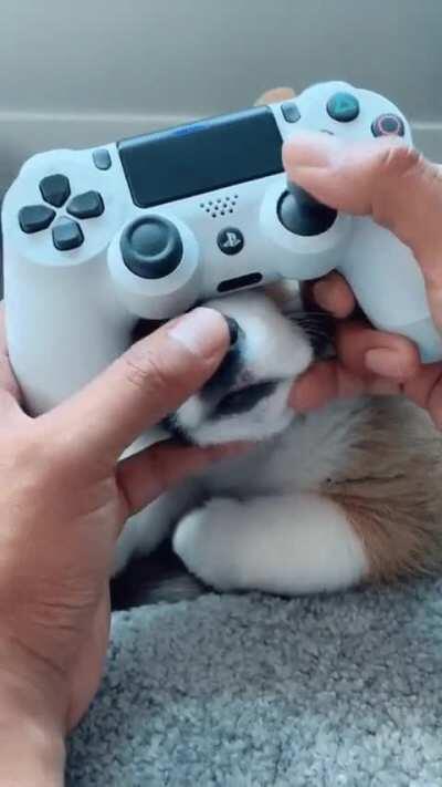 this new controller is quite cute