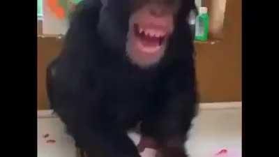 WAKE UP BUDDYS AND RETARDS!!! ITS TIME TO GET FONKY LIKE A MONKY