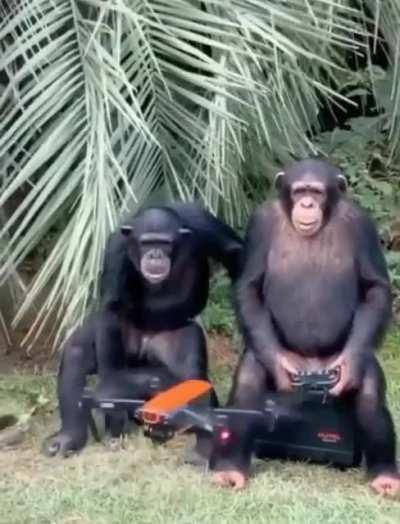 monke on da drone