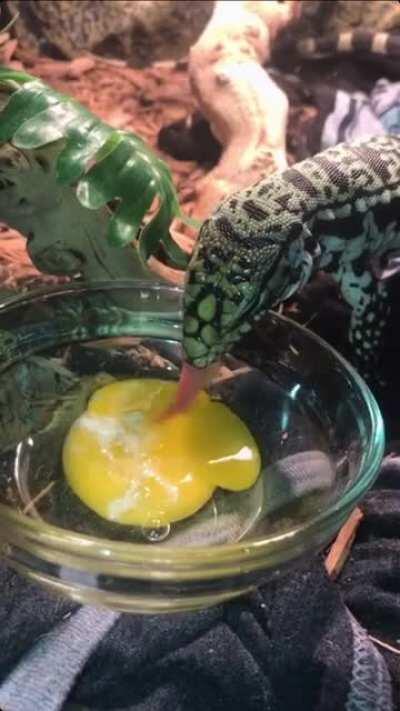 He loves him some egg