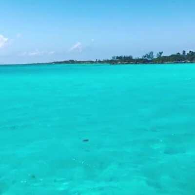 Still can’t get over this water...Blue Lagoon Nassau Bahamas