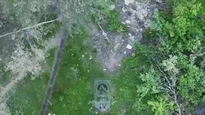 Destruction of Russian positions in Serebryansky Forest