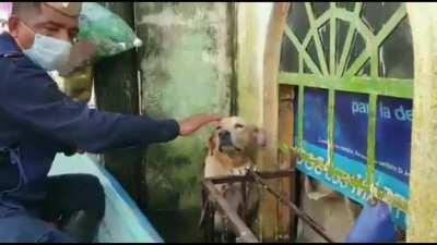 Rescue workers save dog after floods in Tabasco South Mexico