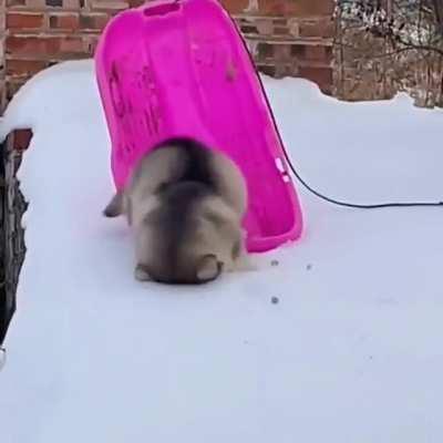 To ride a toboggan