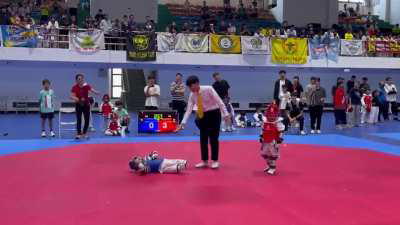 Taekwondo Competition