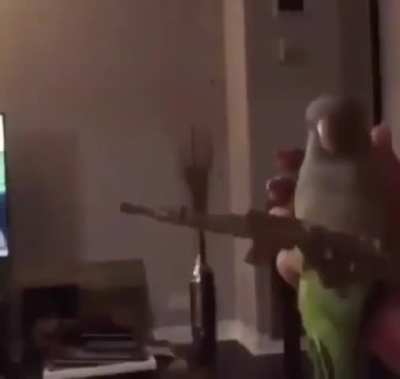 GUN BIRB ACTIVATE 