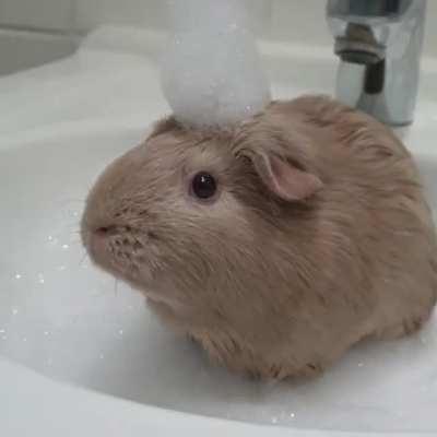 Bubble Bath