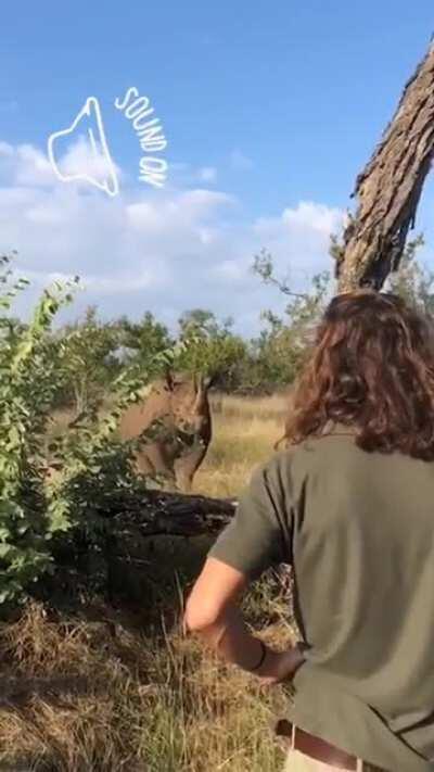 He won a stand off with a f####ing rhino!!