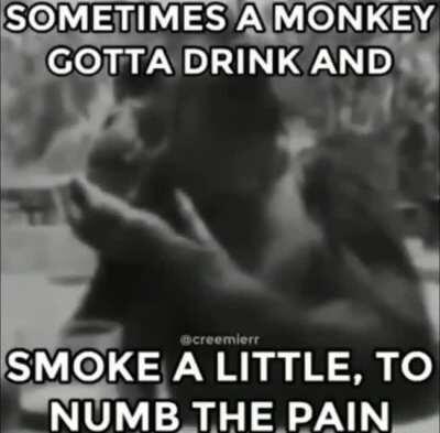 Monke sad :(