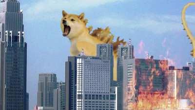 Le Dogezilla has arrived